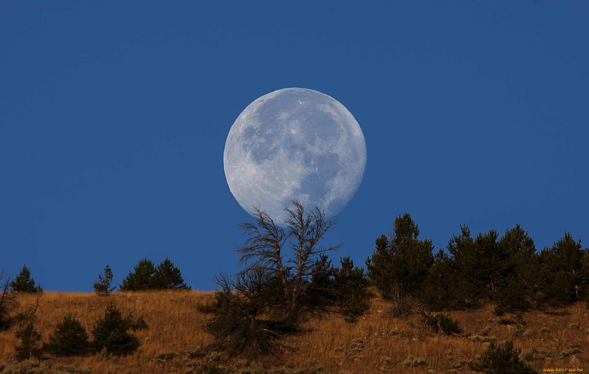 Луна подскажет. Луна. Фотографии Луны. Луна и земля. Луна днем.
